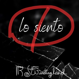 Lo Siento, No