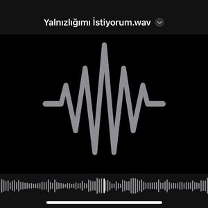 Yalnızlığımı İstiyorum