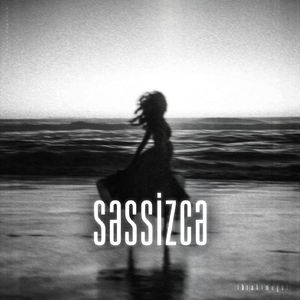Səssizcə
