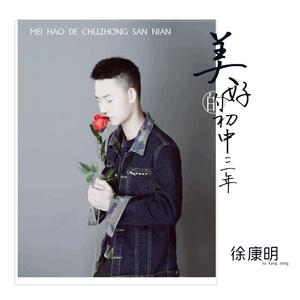 美好的初中三年