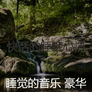 一尘不染睡眠印象数