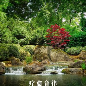 琼箫婉转