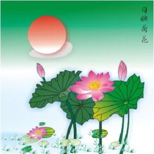 三宝荷调听莲尘