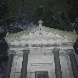 Pinewoods (Revisited)