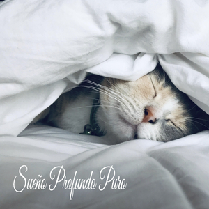 La Relajación Etnica