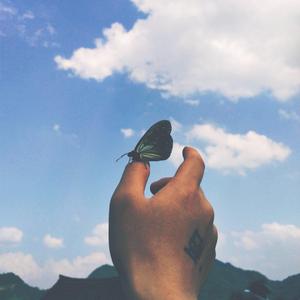 困在阳关里的孤独男孩