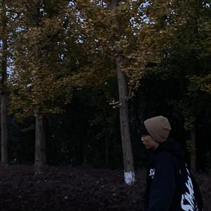 城市日记 - 阿浩