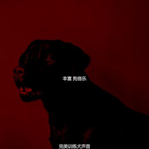 温和孤独的狗梦想