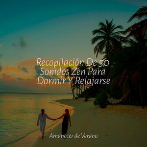 Desentrañando el Turbulento