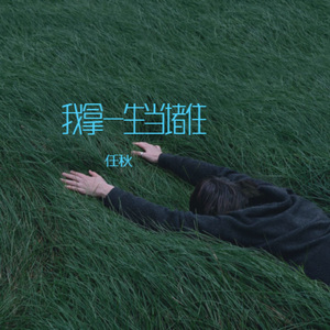 我拿一生当堵住