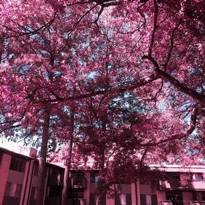 Never Trust (feat. DJ Kostiya)