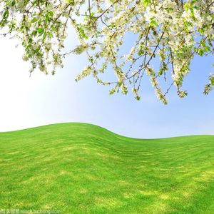 白天不懂夜的黑