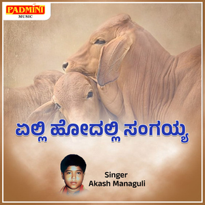 Elli Hodalli Sangayya