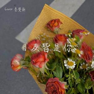 目及皆是你（翻自：小蓝背心 秦楚新）