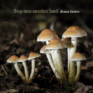 Step into another land