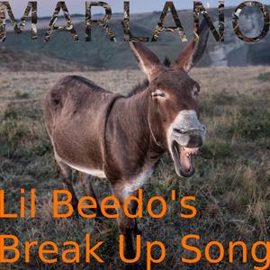 Lil Beedo's Break Up Song
