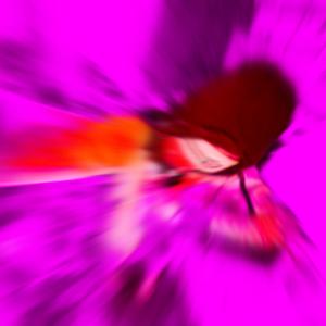 Get the Bag (feat. NoLxveTie & J-Docc)