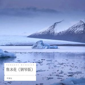 鲁冰花（钢琴版）