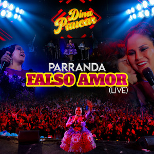 Parranda Falso Amor (Falso Amor / Esta Canción Lo Hice para Ti / Gitanita) (Live)