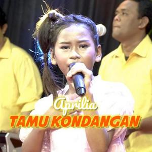 Tamu Kondangan