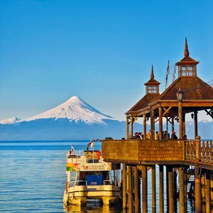 玫瑰（Cover 贰佰）