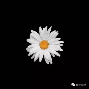 Я Тебя люблю