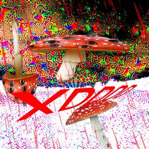 iNtrO