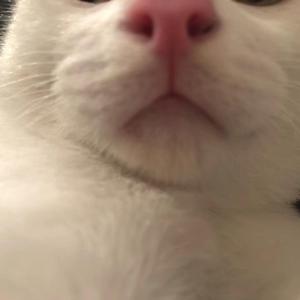 LINDA（翻自 린다G）