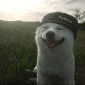 天下第一好（2026男声版）