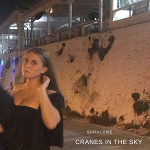 Cranes in the Sky (Live)