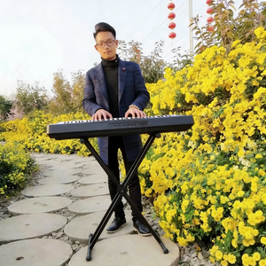 车载电子琴我的快乐就是想你纯音乐舞曲