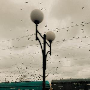 Через Тисячі Років