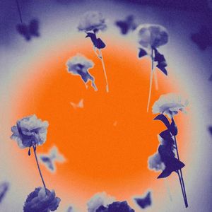 某耳机混音赛监听（赞