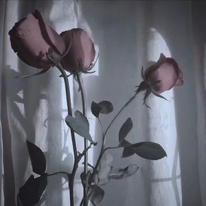 枯萎(prod.Young Loui$)