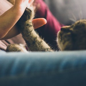 幸福是被你需要