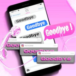 Goodbye