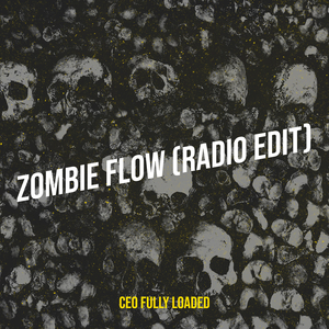 Zombie Flow (Radio Edit)