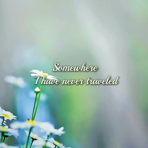 小径，能看见花开