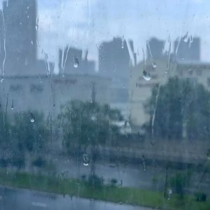 夏雨