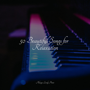 Liszt Liebestraum No. 2 in E-Flat Major, S. 541, No. 2 Notturno II. Seliger Tod