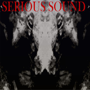 Serious Sound (Original Mix)