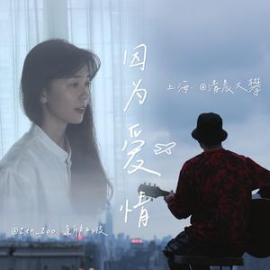 因为爱情（吉他纯净版）