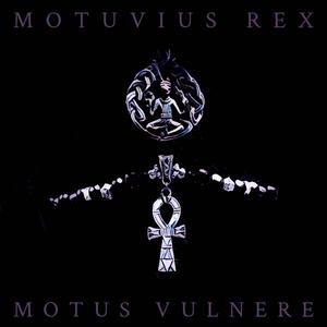 Motus Vulnere