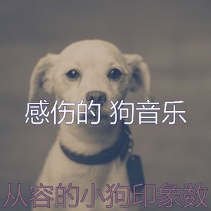 温和训练你的狗梦想