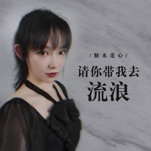 请你带我去流浪