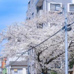 认同感回家 (4)