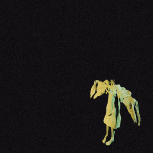 Поле с одуванчиками