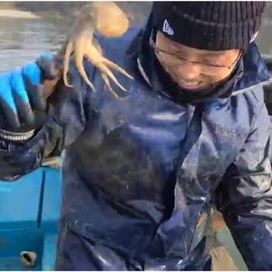 쭈꾸미 - 최유신 작사(비안도 어부가 만든 노래/쭈꾸미 잡을때 들으면 좋은 노래)