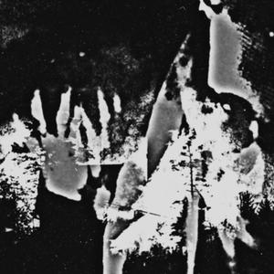 IN YOUR WAKE (feat. DVRKSIDE & Netuh)