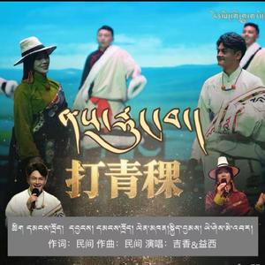 打青稞